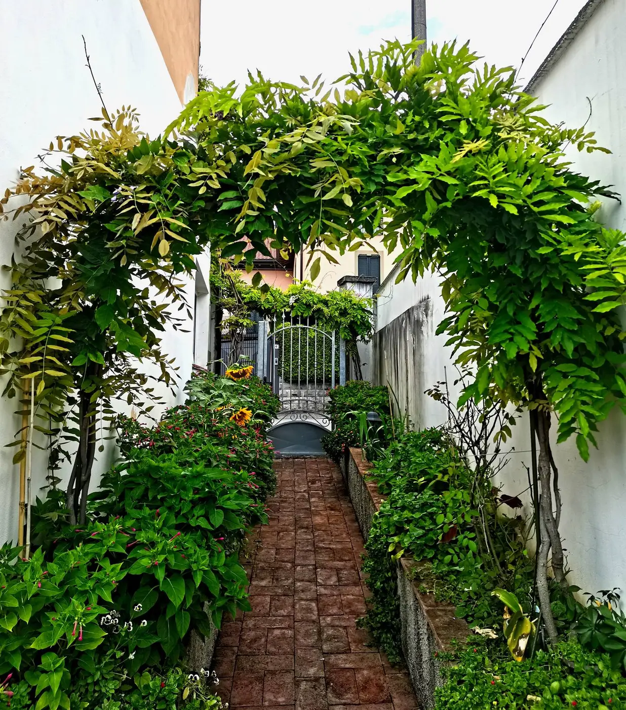 Passaggio verde verso il giardino
